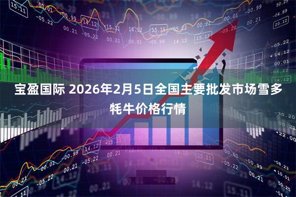 宝盈国际 2026年2月5日全国主要批发市场雪多牦牛价格行情