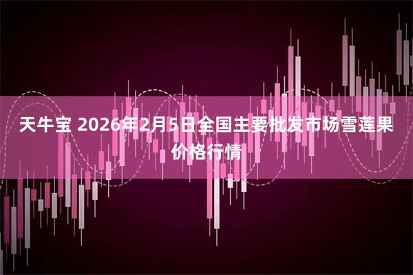天牛宝 2026年2月5日全国主要批发市场雪莲果价格行情
